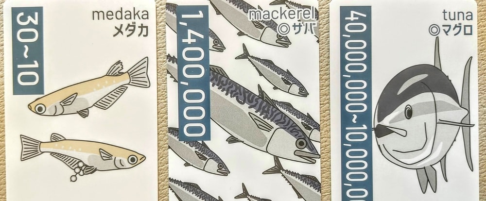 魚類カードゲーム